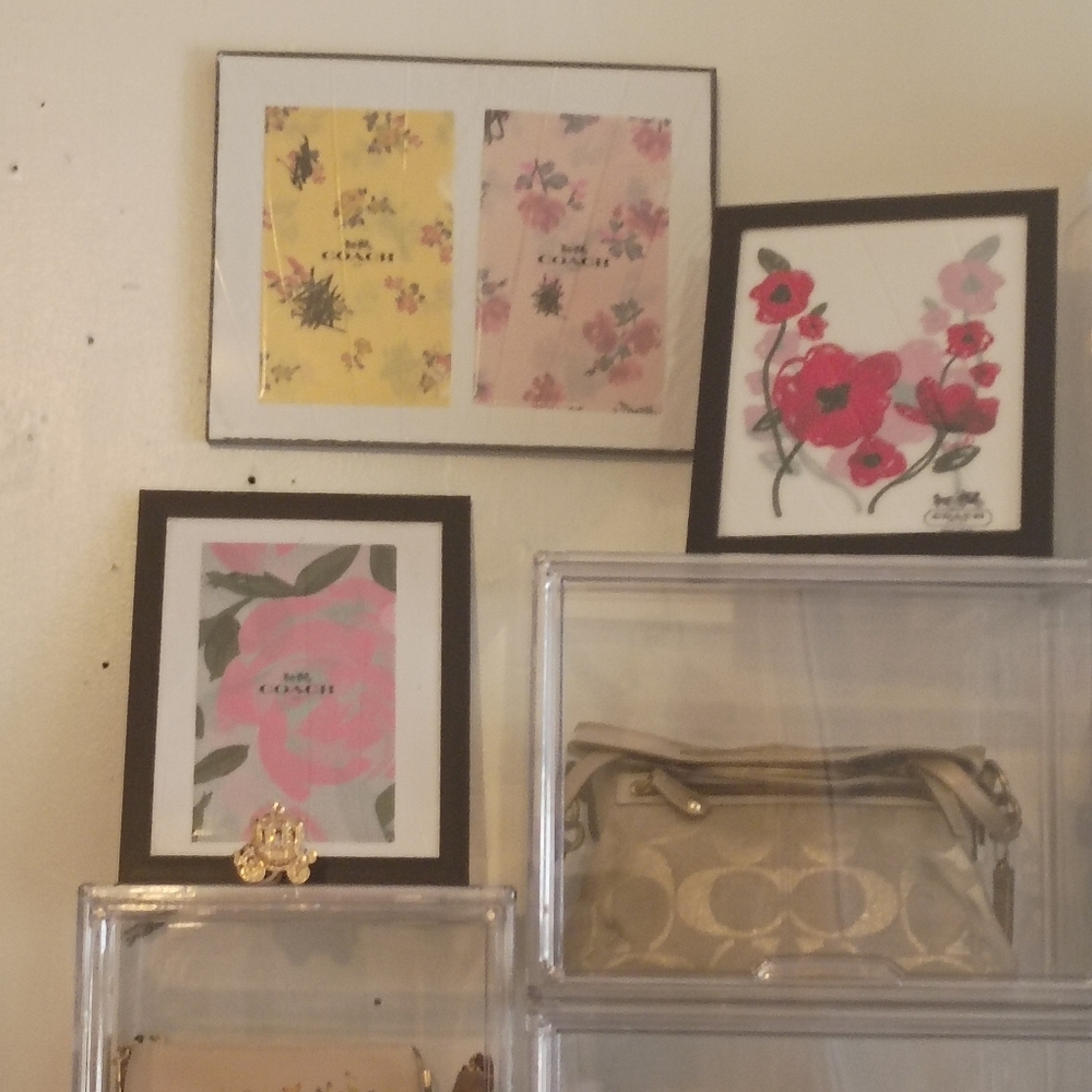 Coach  Frame Display with Floral Prints